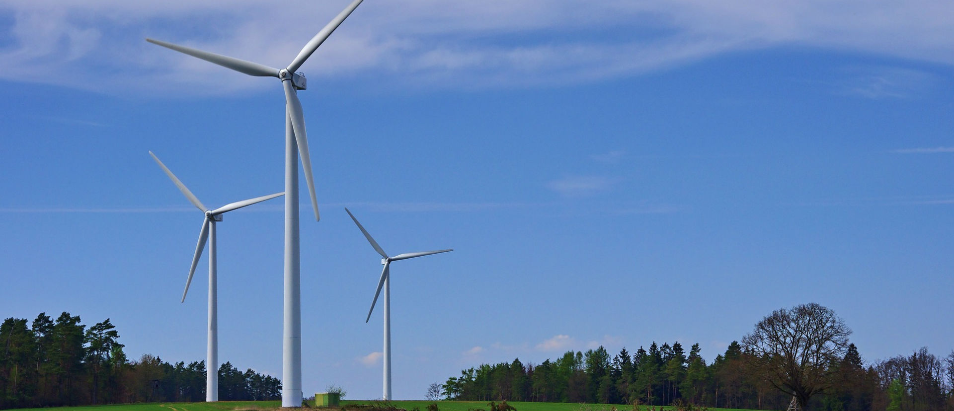 economia verde, sustentabilidade, empresas, ecologia, meio ambiente